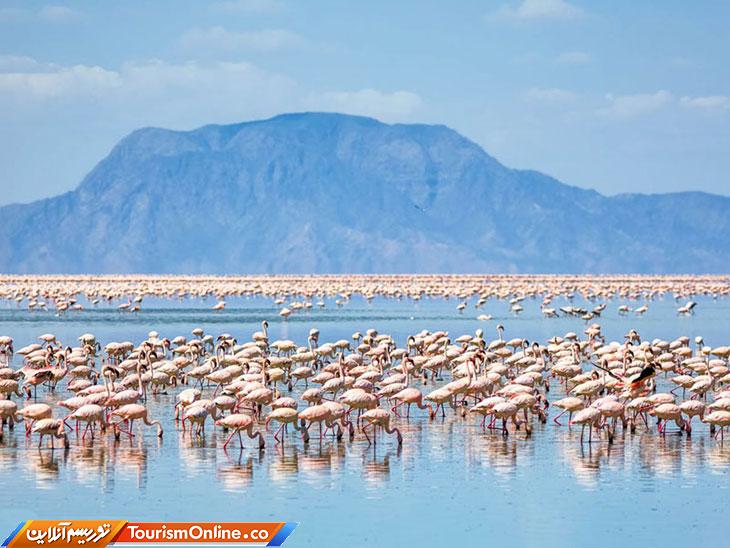 دریاچه ناترون