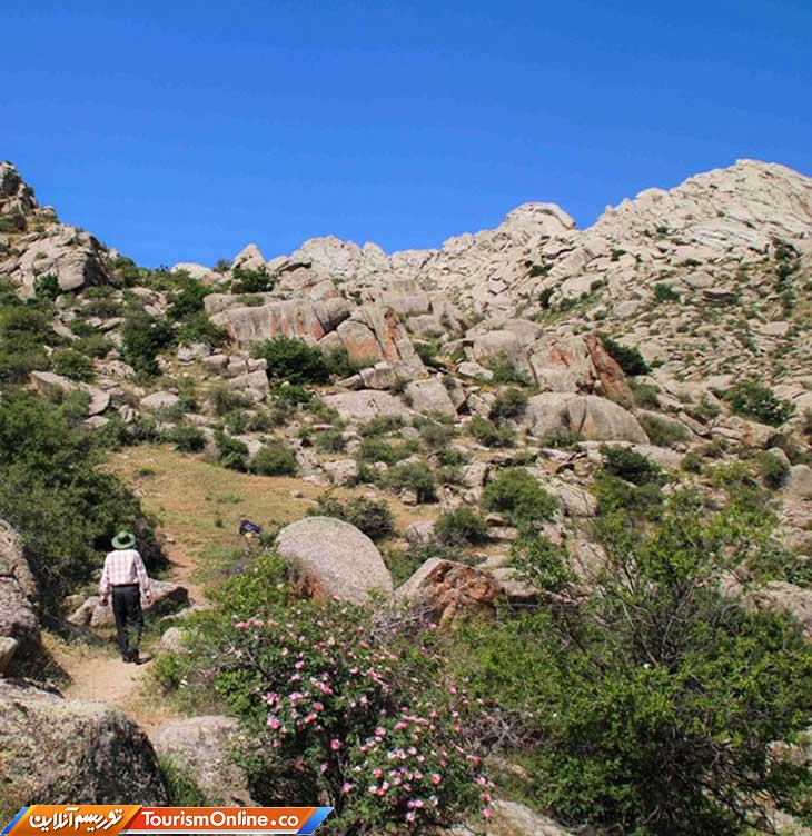 ارتفاعات اهر