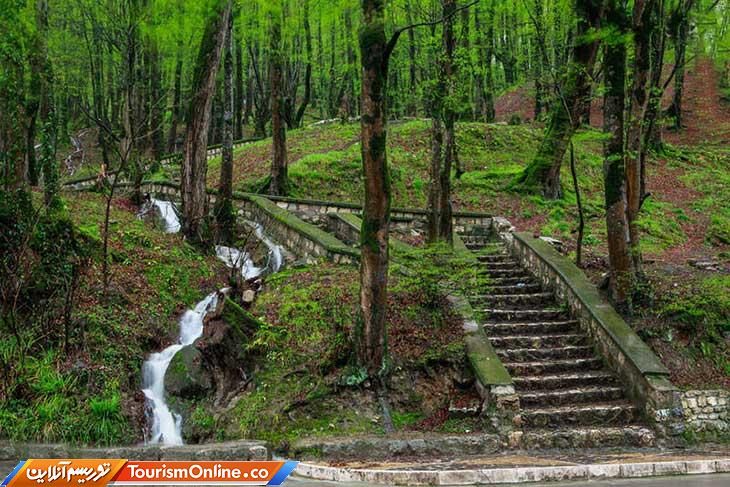 جنگل هیرکانی