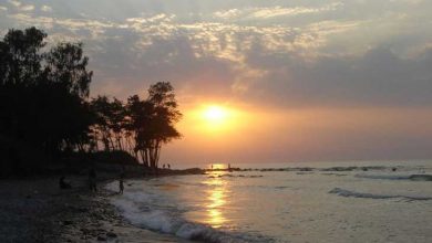 پارک جنگلی سی سنگان