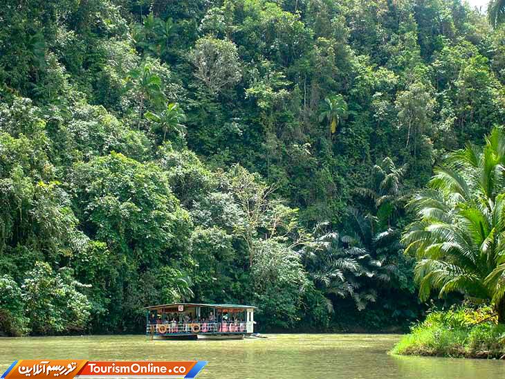 جزیره بوهول فیلیپین