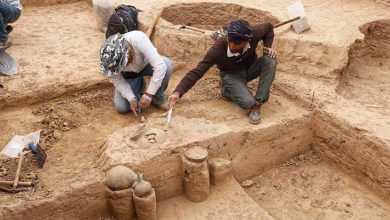 کاوش باستان شناسان در ریوی