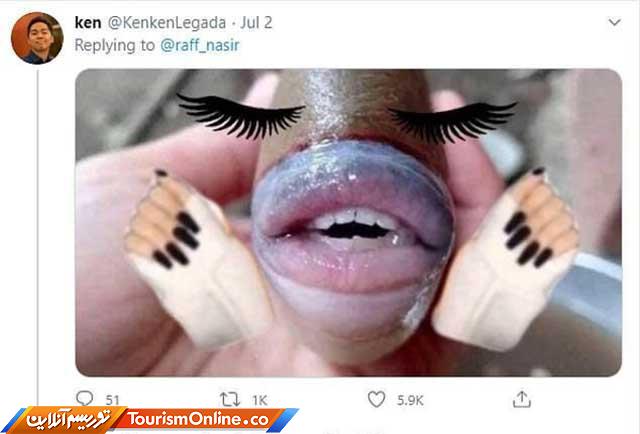 ماهی آدم نما