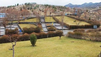 رودپارک تربت حیدریه