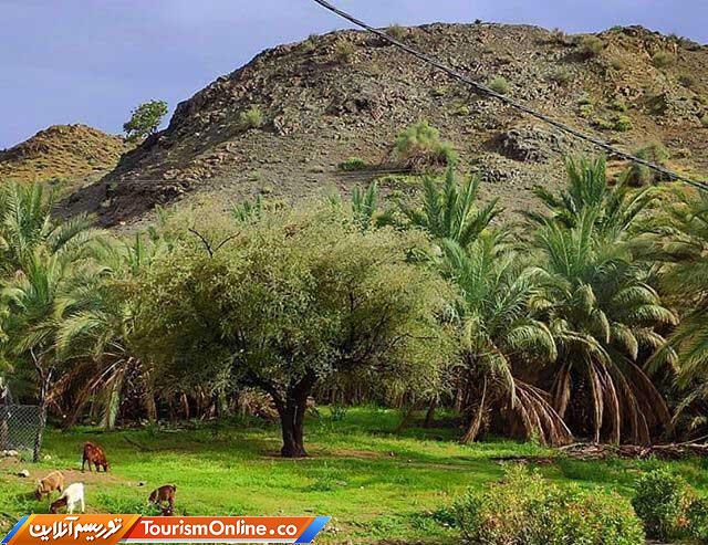 روستای کوهشاه ریگان