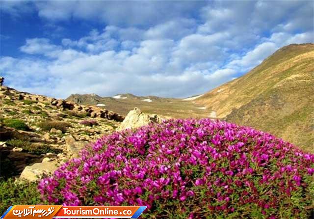 روستای کوهشاه ریگان