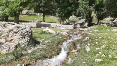 شهرستان کیار