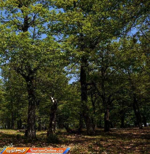 طبیعت ایران