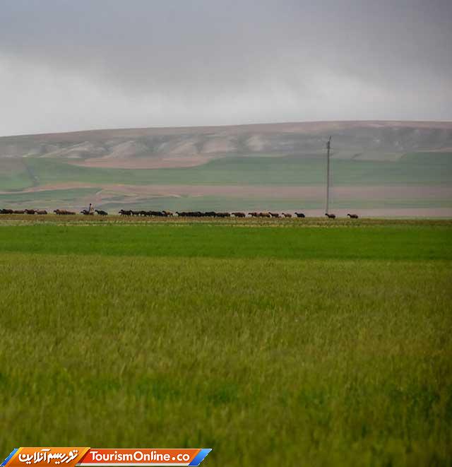 طبیعت ایران