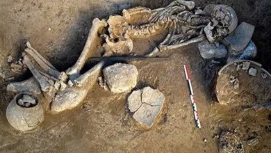 تعیین جنسیت