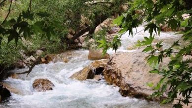 شهرستان بویراحمد