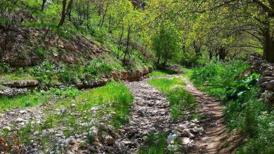 زوارم بهشت خراسان شمالی