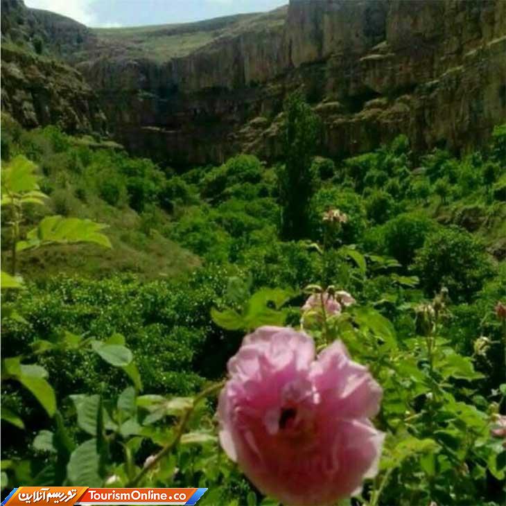 زوارم بهشت خراسان شمالی