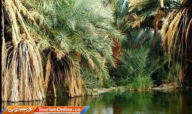 آب گرم شفابخش نایبند