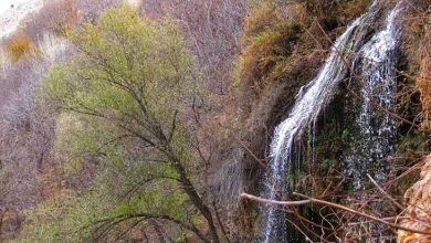 آبشار شارشار