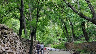 اخلمد خراسان رضوی