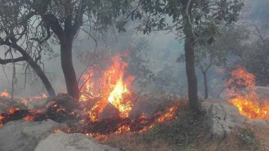 آتش‌سوزی شاهرود