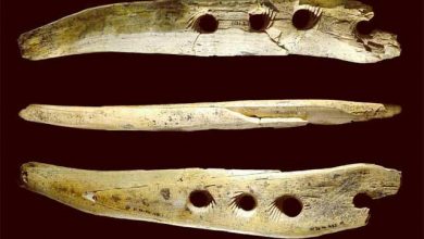 ابزار باستان شناسان