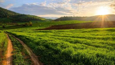 روستای کیاسر مازندران