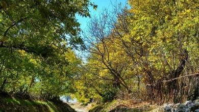 گردشگری کرمانشاه