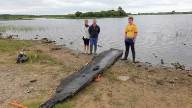 قایق باستانی ایرلند