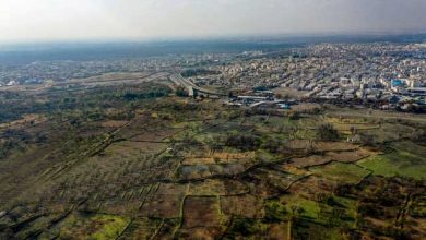 باغستان قزوین