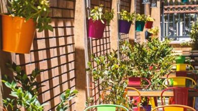 گردشگری هفته دولت