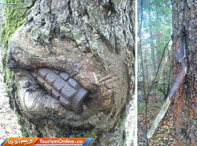 طبیعت در جنگ جهانی اول