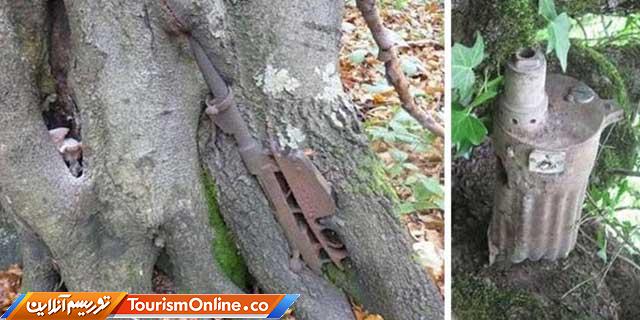 طبیعت در جنگ جهانی اول