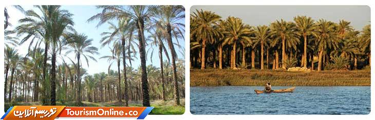 جزیره مینو آبادان