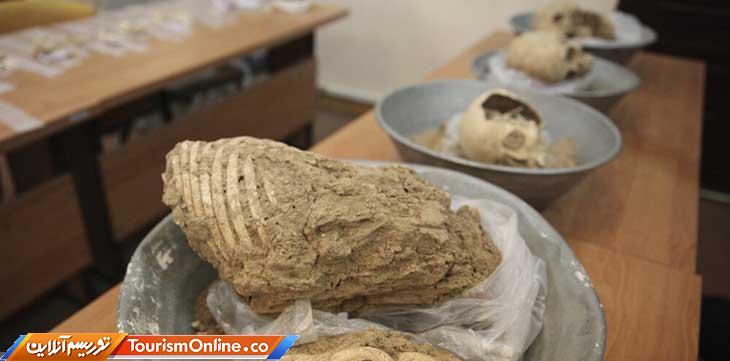 کاووش جدید در تخت جمشید