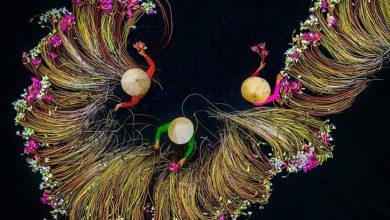 نیلوفر آبی ویتنام