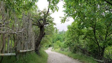 گردشگری روستای گریوان