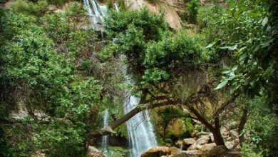 تنگ تامرادی یاسوج