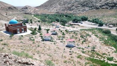 تنگه‌گزی جاجرم