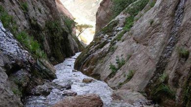 تور گردشگری