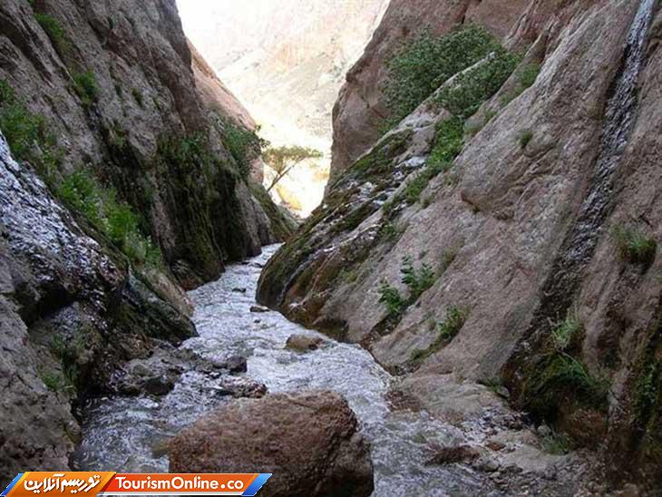 تور گردشگری