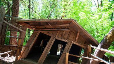 خانه اسرارآمیز اورگون ورتکس