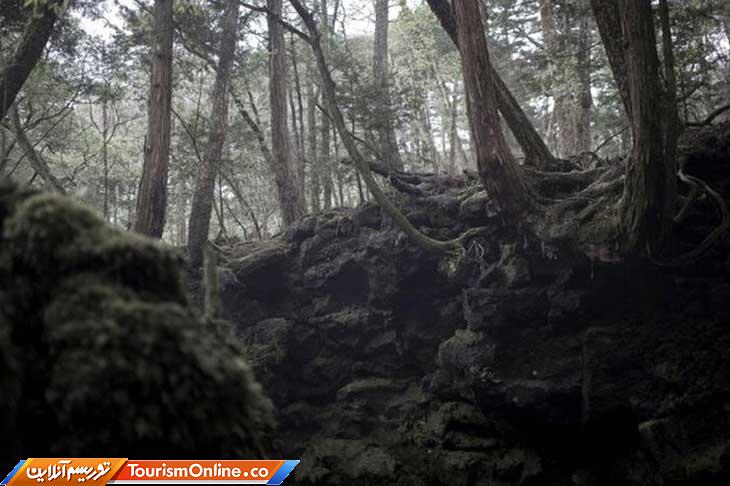 مکان های مخوف و ترسناک در جهان