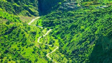 ثبت جهانی اورامان تخت