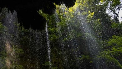 جنگل شصت کلا Archives - توریسم آنلاین - پربازدیدترین رسانه ...