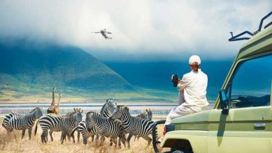 گردشگری آفریقا