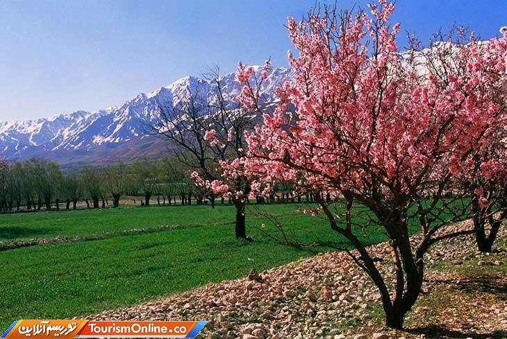 باغ میوه همدان