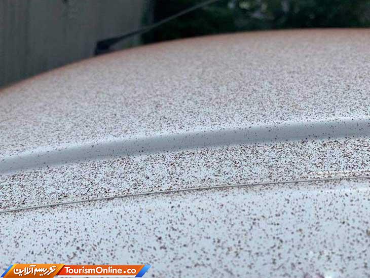 برف شکلاتی سوئیس