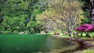 دریاچه شورمست مازندران سوادکوه