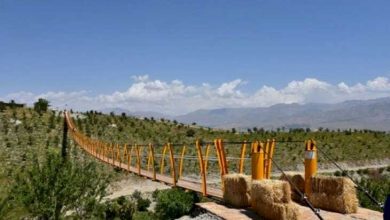 گردشگری کشاورزی