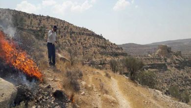 قلعه دختر فیروزآباد