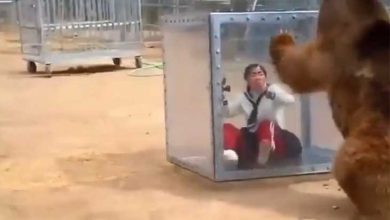 یک شیشه مرز بین مرگ و زندگی