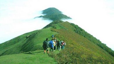 جنگل ابر شاهرود