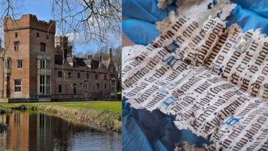 کشف باستان شناسان